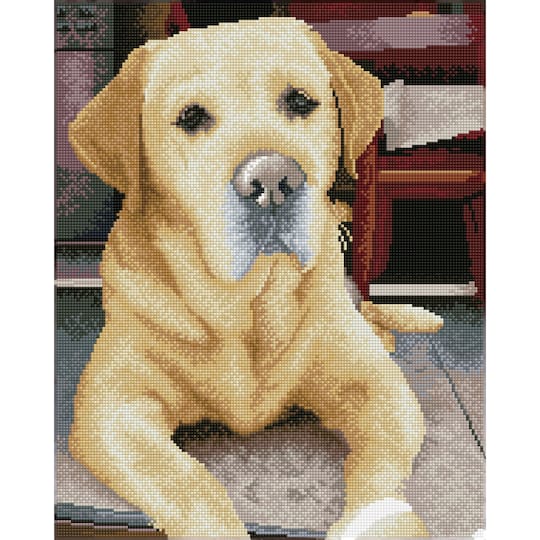 Diamond Dotz® Intermediate King Diamond Painting Kit